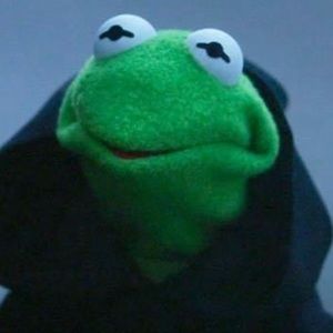 Meet your Posher, Beau